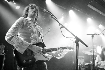 the wombats